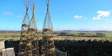 Willow Woven Plant Supports