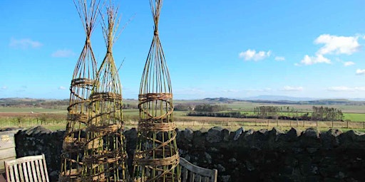 Hauptbild für Willow Woven Plant Supports