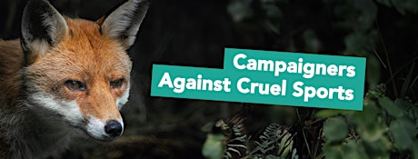 Compelling Campaign Letters  - Campaigners Against Cruel Sports