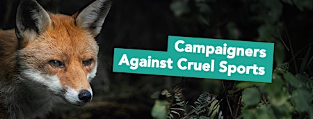 Compelling Campaign Letters  - Campaigners Against Cruel Sports primary image