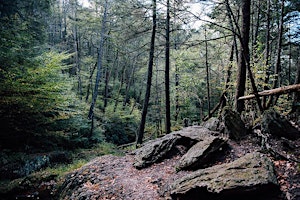 Hauptbild für Stokes State forest hiking (Drive only)