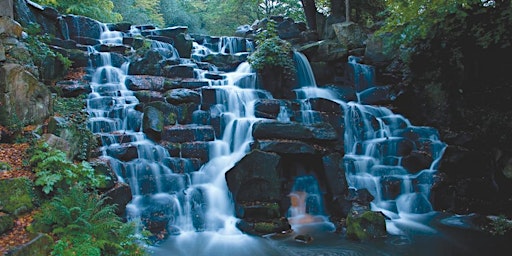 Immagine principale di A Lovely Spring Walk From Virginia Water Cascades to Windsor  Castle 