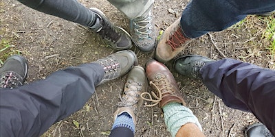 Imagem principal de Malham Cove & Gordale Scar Guided walk