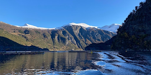 Immagine principale di Akvakultur: Hvordan kan teknologi bidra til fiskehelse og vekst? 