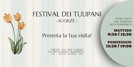 Festival dei Tulipani - Scorzè