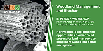 Imagem principal de Woodland Management and Biochar Workshop