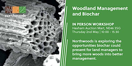 Primaire afbeelding van Woodland Management and Biochar Workshop