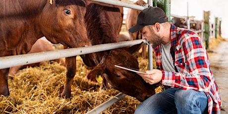 STS Agriculture Apprenticeships Information Evening