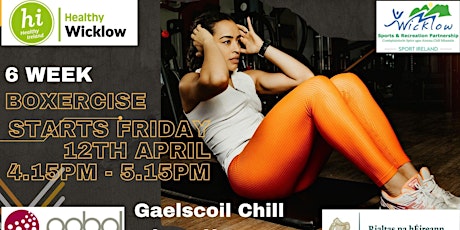 Adult Boxercise Programme