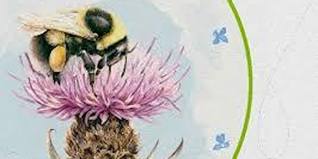 All-Ireland Pollinator Plan Community Actions Awareness Event