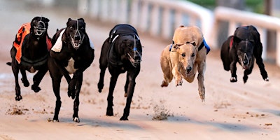 Williamstown Childcare Greyhound Race Fundraiser primary image