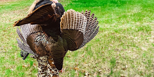 Introduction to Turkey Hunting - Part 2 - Bryant Pond primary image