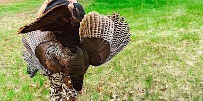 Primaire afbeelding van Introduction to Turkey Hunting - Part 1 - Bryant Pond