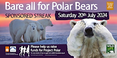 Imagen principal de Bear All For Polar Bears 2024 - Sponsored Streak