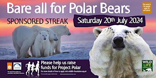 Primaire afbeelding van Bear All For Polar Bears 2024 - Sponsored Streak