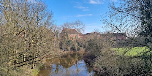 Mindfulness and Nature – A Stroll along the River Brue (Highbridge) primary image