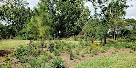 Bay Friendly Landscaping Workshop - In Person