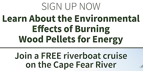 Learn About the Environmental Effects of Burning  Wood Pellets for Energy