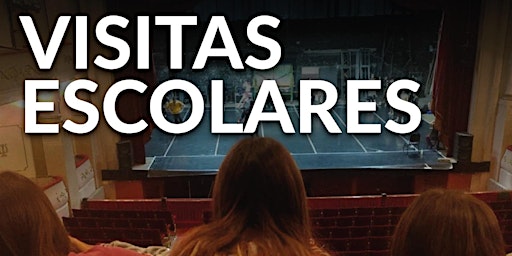 Hauptbild für Programa Educativo, Cultural y Social de Visitas al Teatro Municipal 2024