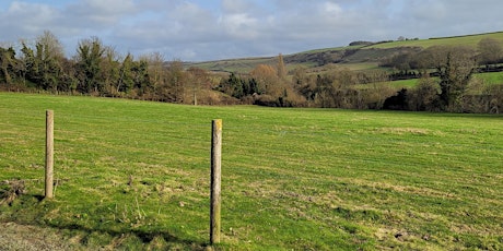 Archaeology Walk, Burpham Down