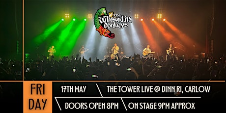The Whistlin’ Donkeys - The Tower LIVE @ Dinn Ri, Carlow