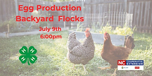 Imagem principal do evento Egg-cellent Egg Production for Backyard Flocks