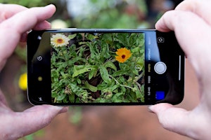 Photography on your phone: Beginners primary image