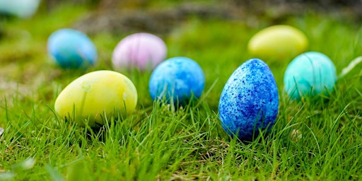 Hauptbild für RHN Easter Egg Hunt