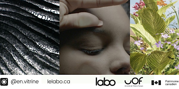 Vernissage UOF / Labo - Artiste :  Nicole Croiset