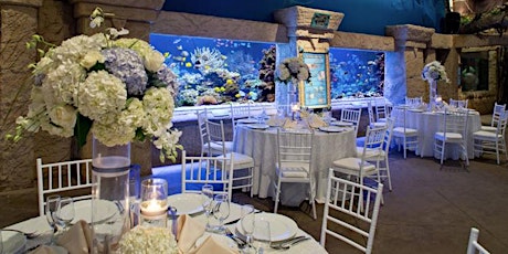 Long Island Bridal Expo Super Show, Atlantis Banquets + Events, April 7