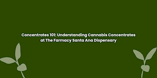 Concentrates 101: Understanding Cannabis Concentrates primary image
