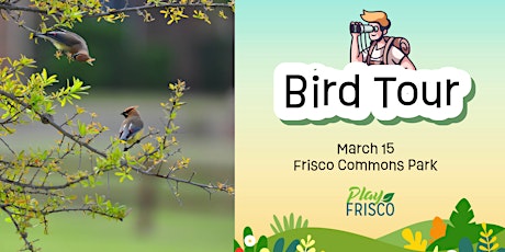 Bird Tour primary image