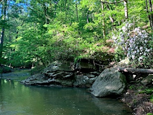 Nature Walk with Ranger Jonah