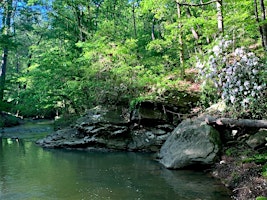 Imagem principal do evento Nature Walk with Ranger Jonah