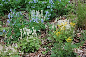 Hauptbild für Novel Organic Practices in the Landscape & Garden - Forks on Friday