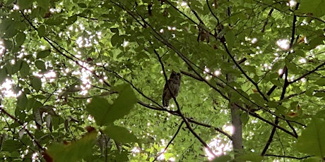 Bird Stroll with Ranger Jonah