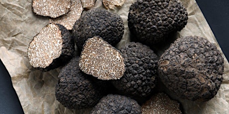 Truffles with Sabrina Notarnicola of Urbani Truffles primary image