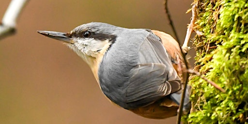 Hardcastle Crags guided walk primary image