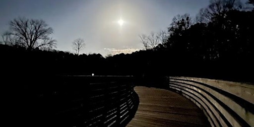 Primaire afbeelding van Full Moon Night Walk at Mason Mill Park