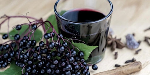 Immagine principale di Elderberry Syrup making workshop - Immune boosting 