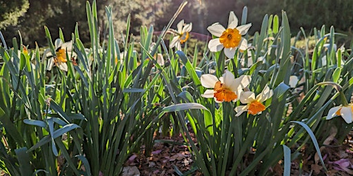 Gardening for Beginners, Gurus, & Everyone in Between (day) - April primary image