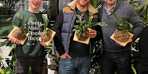 Staghorn Fern Mounting in UWS primary image