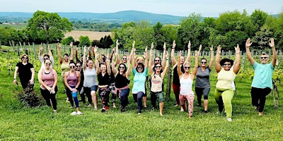Yoga and Sip at Mazzaroth Vineyard and Winery primary image