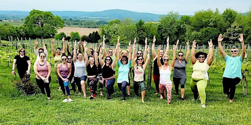 Yoga and Sip at Mazzaroth Vineyard and Winery  primärbild