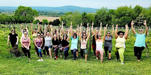 Primaire afbeelding van Yoga and Sip at Mazzaroth Vineyard and Winery
