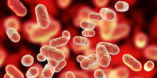 Bacterial + Bloodborne Infections and Drug Use primary image