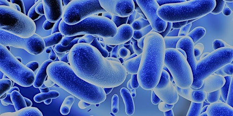 Immagine principale di Microbiota Intestinale e Benessere 