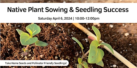Native Plants Sowing and Seedling Success primary image