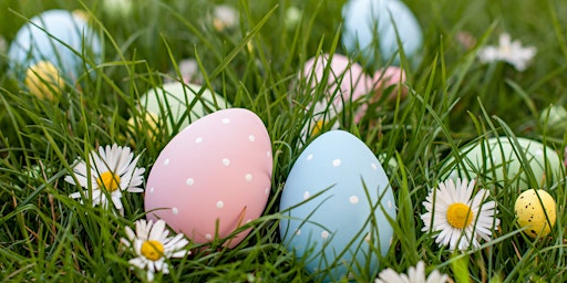 Primaire afbeelding van Easter Egg Hunt and Bunny Photos