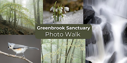 Imagem principal do evento Greenbrook Sanctuary Nature Walk with Sigma